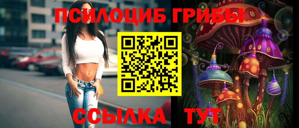 Галлюциногенные грибы мухоморы Заволжье
